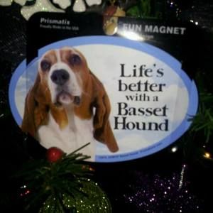 Meet your Posher, Wanda